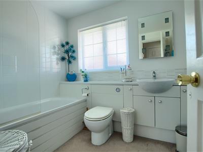 Picture 17